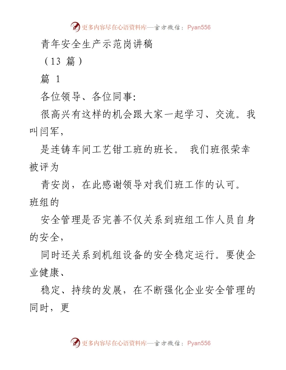 [发言] 青年安全生产示范岗活动 - 青安岗工作体会与安全管理实践分享.docx_第1页