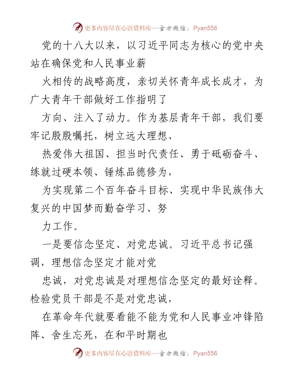 [发言] 青年干部培训会 - 坚定信念，勇担责任：新时代青年干部的使命与担当.docx_第1页