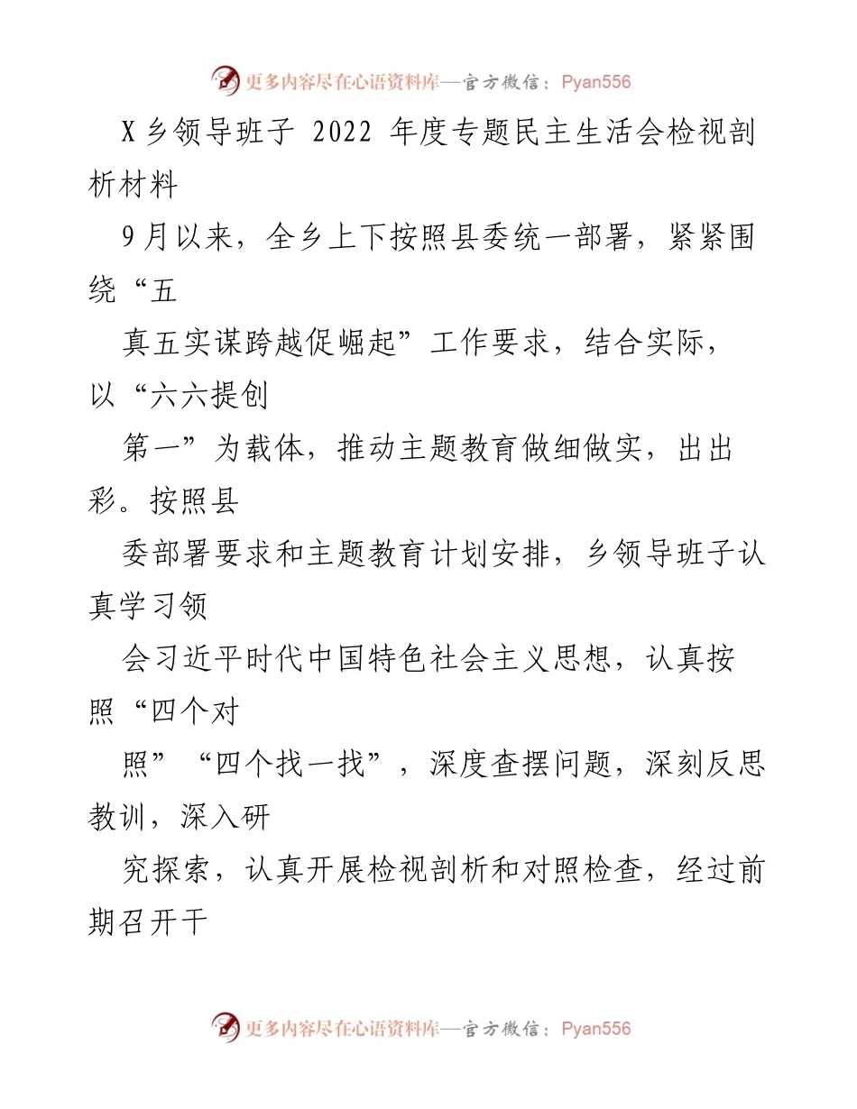 [发言] 领导班子年度民主生活会 - X乡2022年度专题民主生活会检视剖析报告.docx_第1页