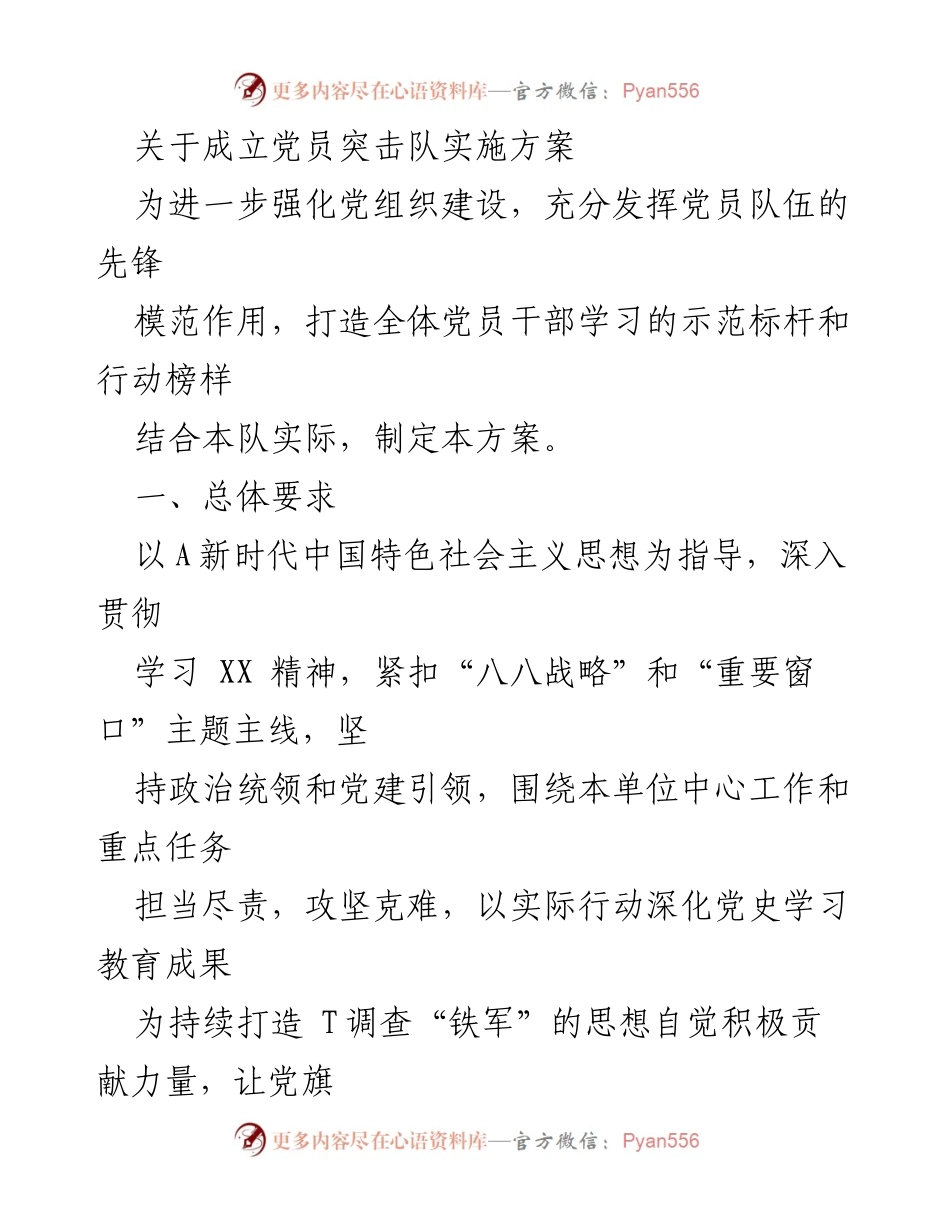 [实施方案] 党员活动 - 成立党员突击队实施方案_1.docx_第1页