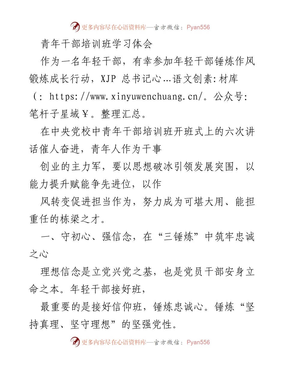 [发言] 青年干部培训班 - 青年干部的成长与担当之路.docx_第1页