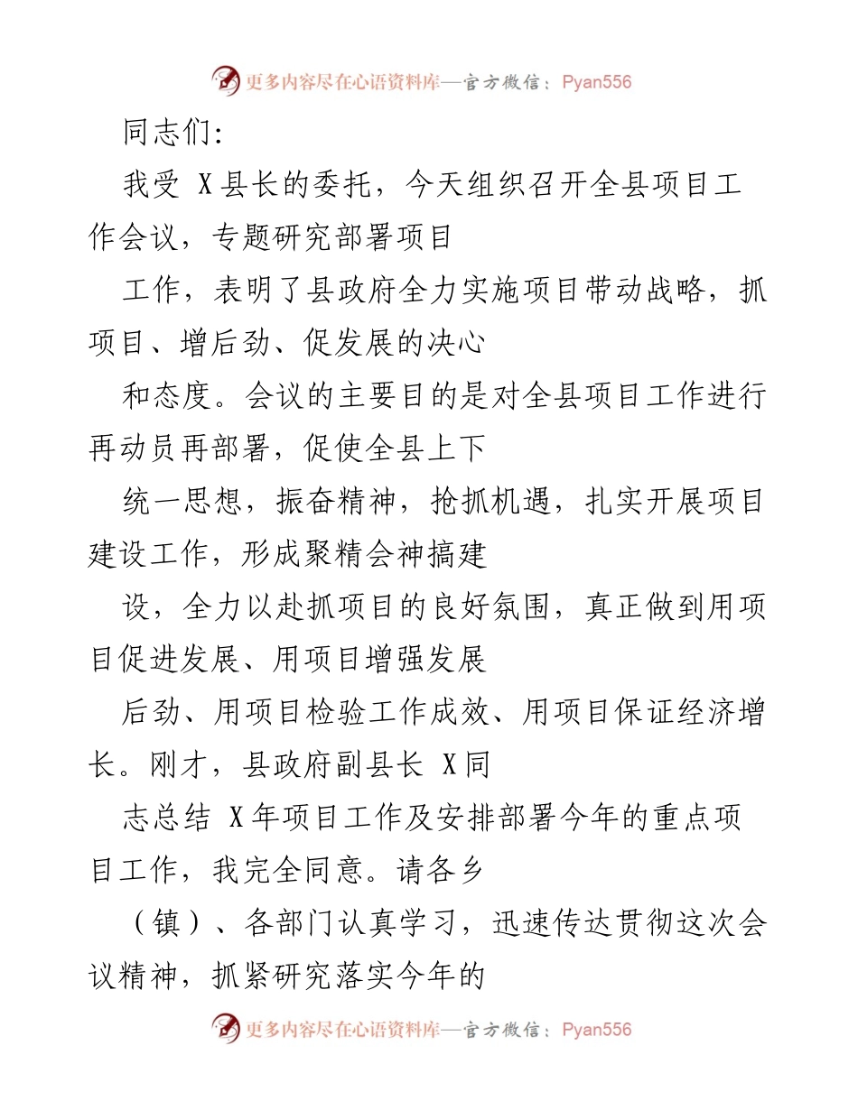 [发言] 项目工作会议 - 全力实施项目带动战略，推动经济发展新局面.docx_第1页