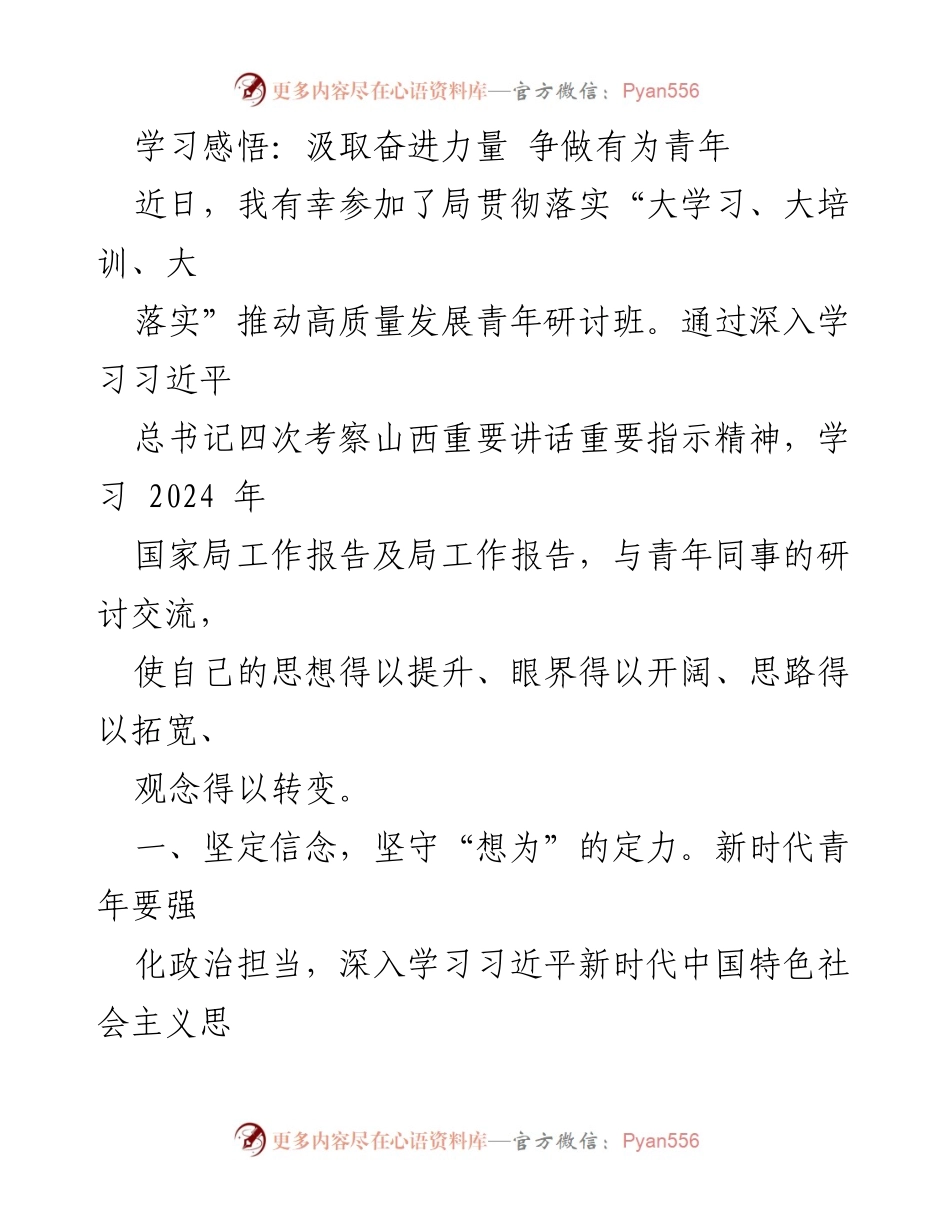 [发言] 青年研讨班 - 学习感悟：汲取奋进力量 争做有为青年.docx_第1页