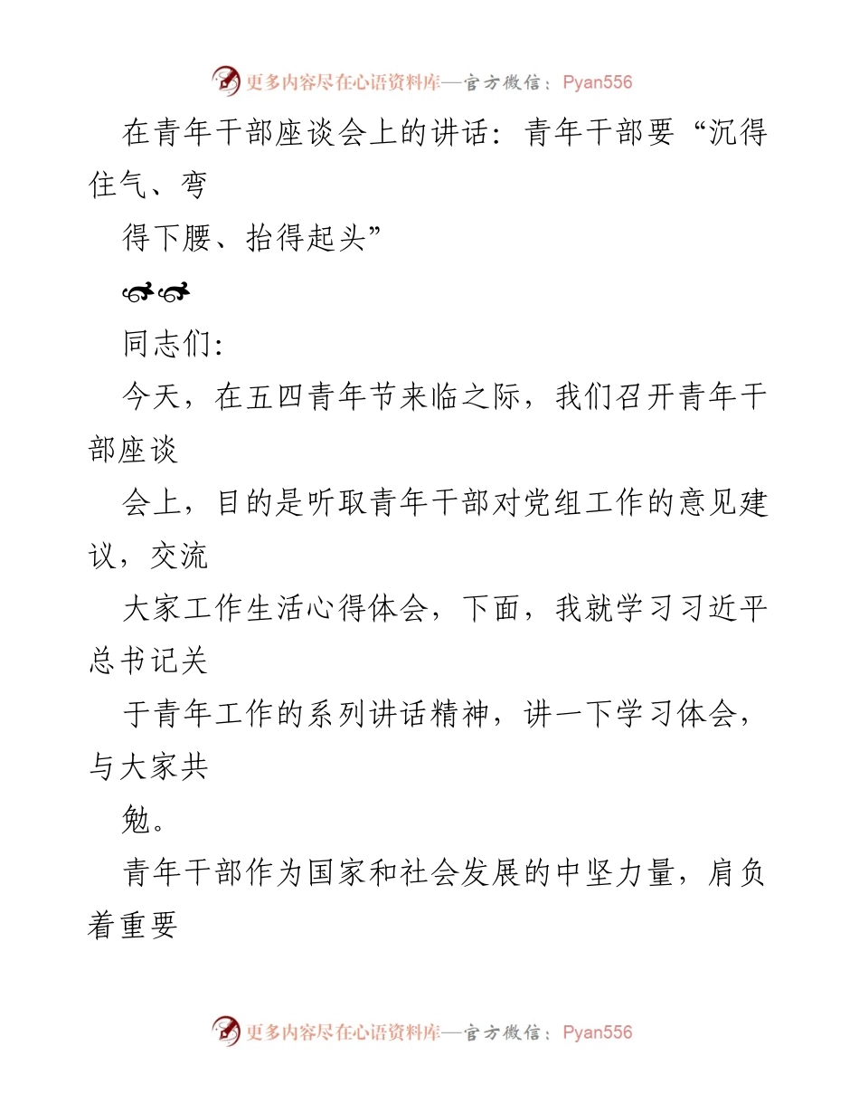 [发言] 青年干部座谈会 - 青年干部的成长之道：沉得住气、弯得下腰、抬得起头.docx_第1页