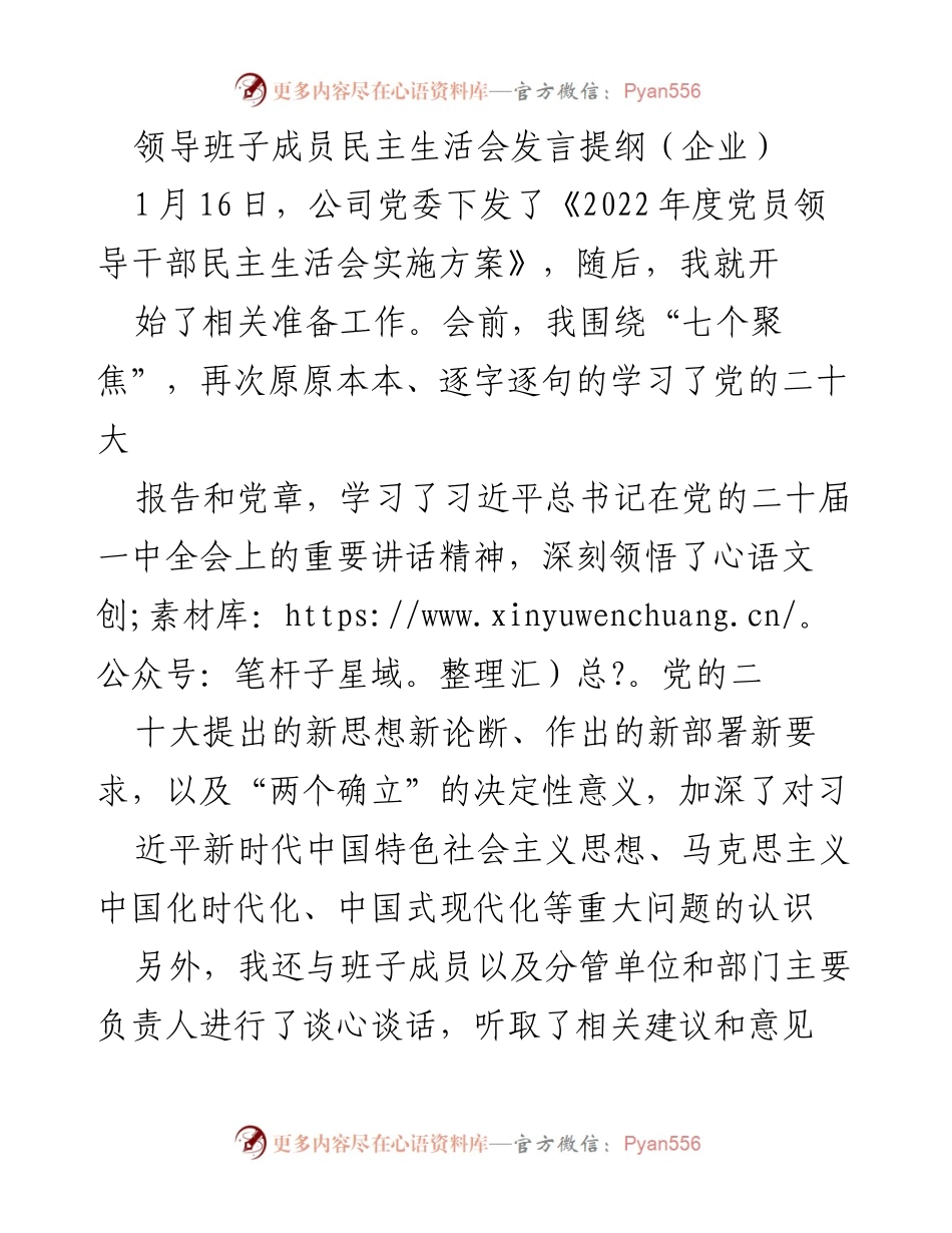 [发言提纲] 企业民主生活会 - 深刻领悟党的新思想，提升领导班子执行力.docx_第1页