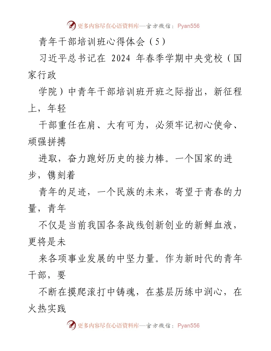 [发言] 青年干部培训班 - 青年干部的责任与使命感.docx_第1页