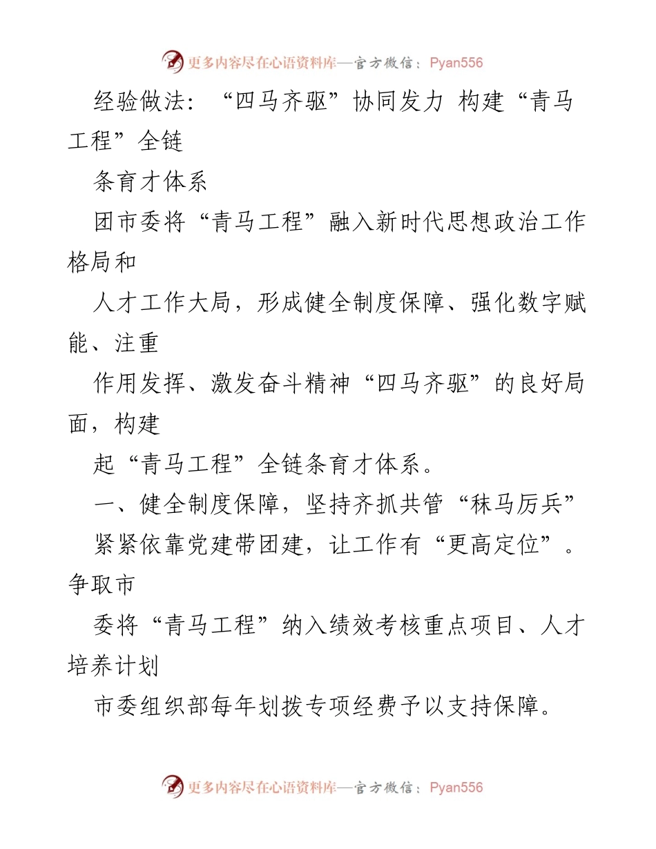 [发言] 青年工作会议 - “四马齐驱”协同发力构建全链条育才体系.docx_第1页