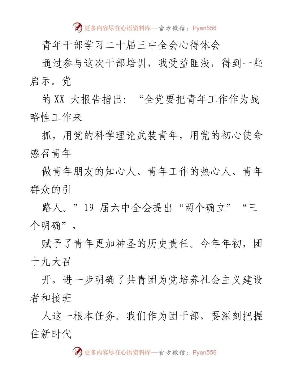 [发言] 青年干部培训 - 青年干部在新时代的使命与担当.docx_第1页