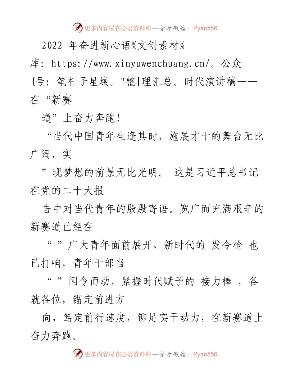 [发言] 青年干部大会 - 奋力奔跑在新赛道上的青年使命.docx_第1页