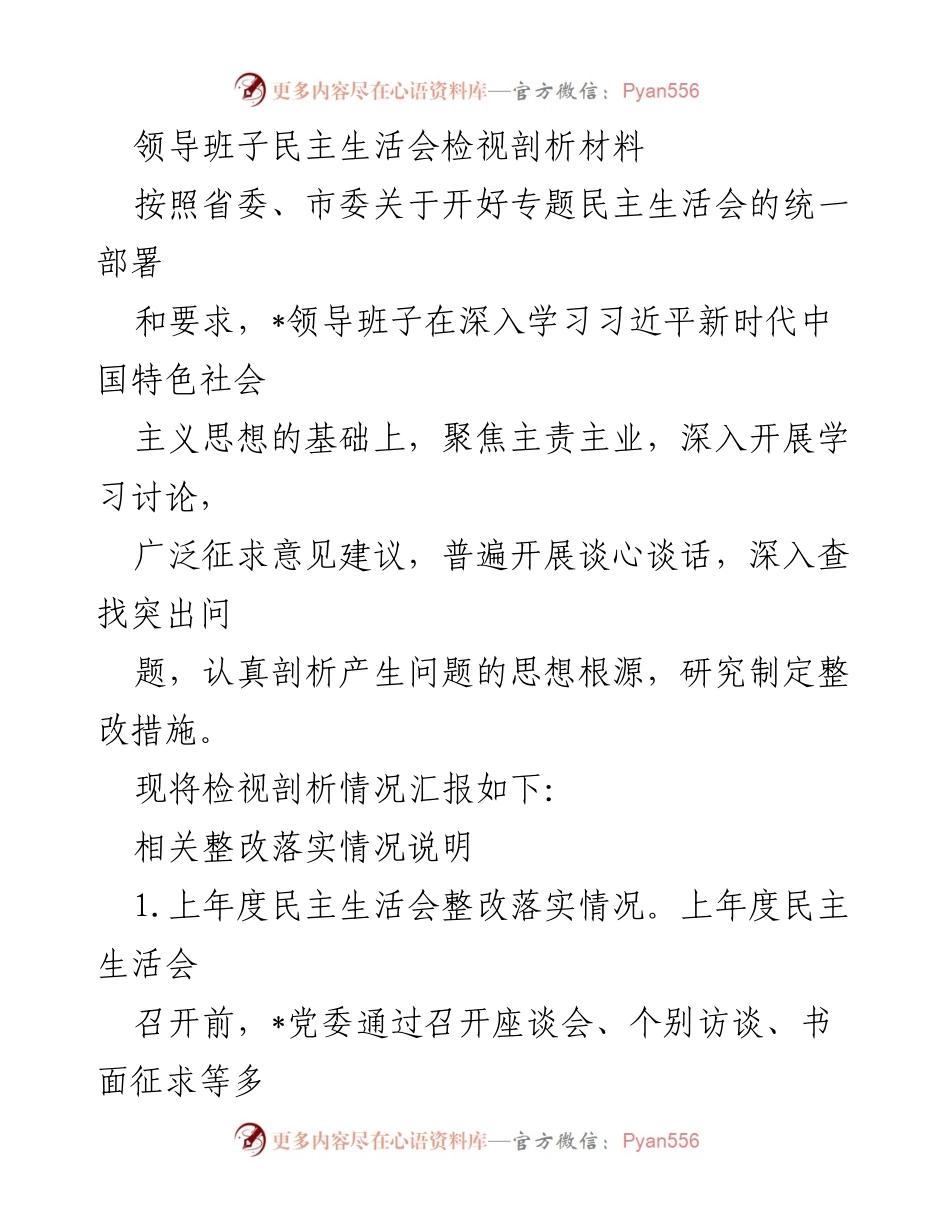[发言] 领导班子民主生活会 - 领导班子检视剖析与整改落实报告.docx_第1页
