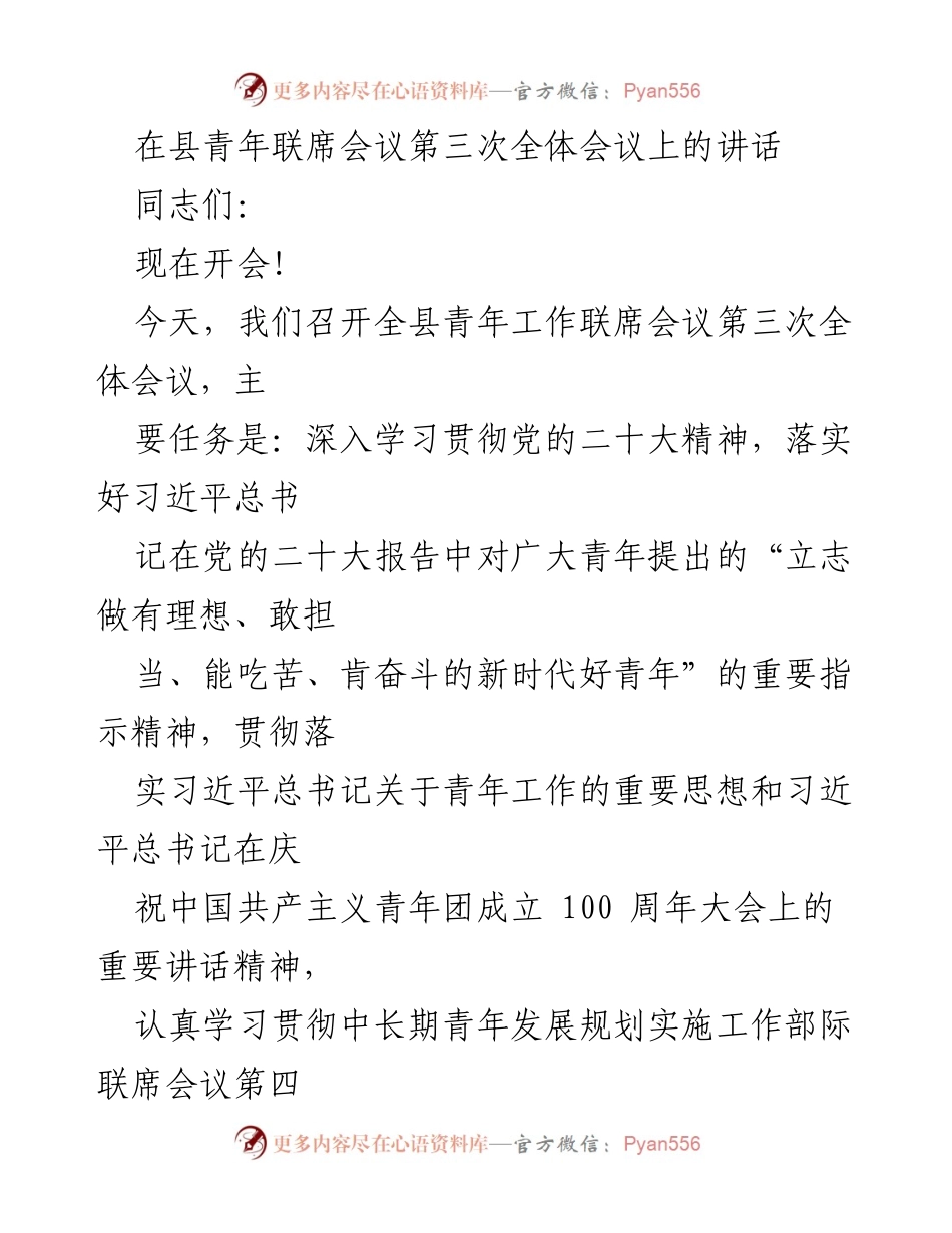 [发言] 青年工作联席会议 - 深入贯彻党的二十大精神，推动青年发展规划落实.docx_第1页