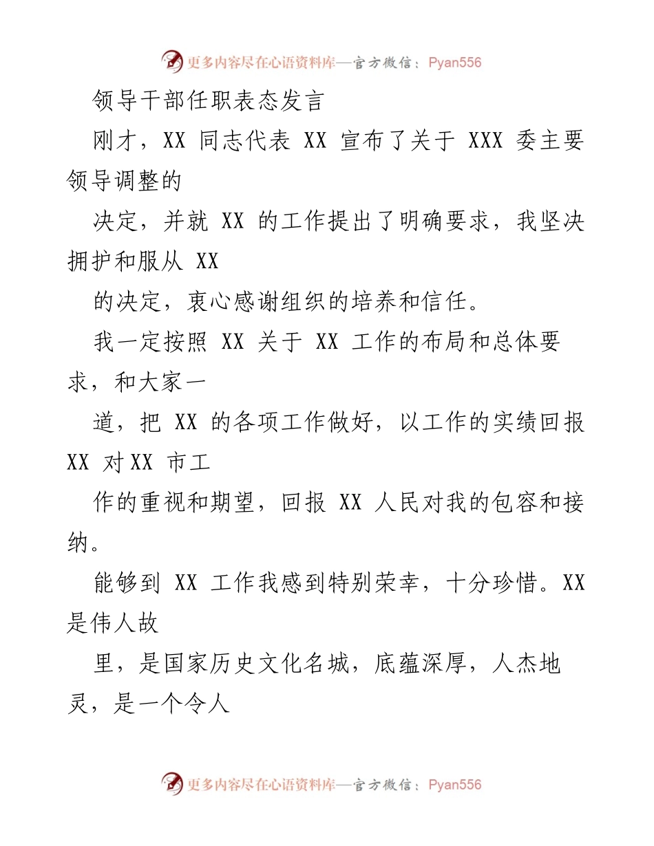 [发言] 领导干部任职 - 坚定信念，勇担使命：新任XX市领导表态发言.docx_第1页