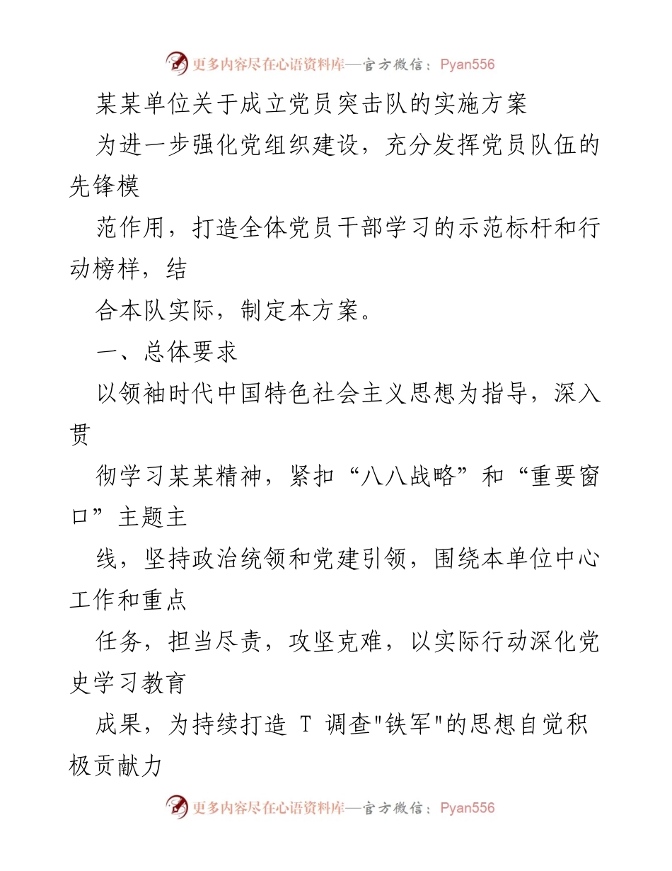 [实施方案] 党员活动 - 成立党员突击队的实施方案_2.docx_第1页