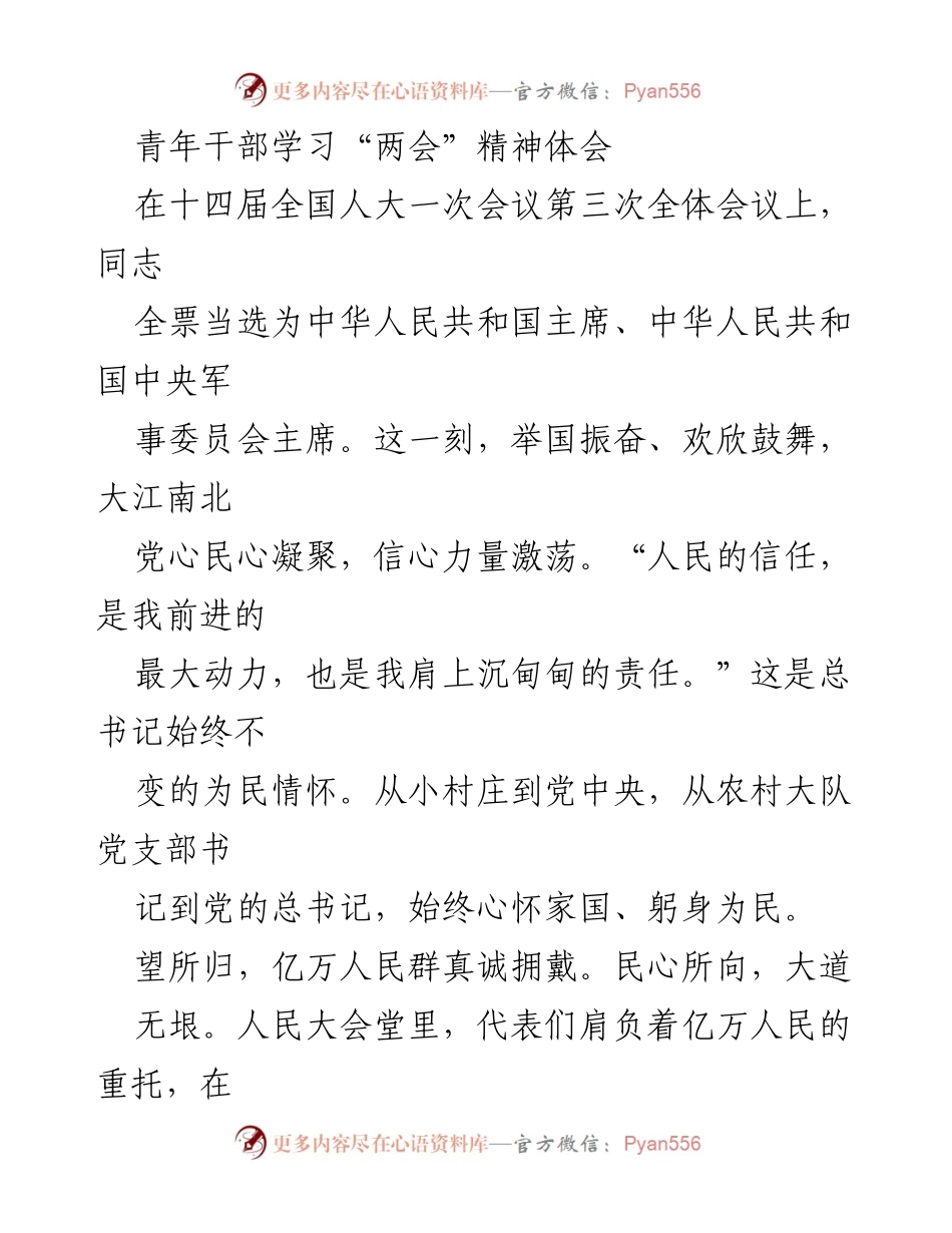 [发言] 青年干部学习会 - 青年干部的学习与感悟：深入理解“两会”精神.docx_第1页