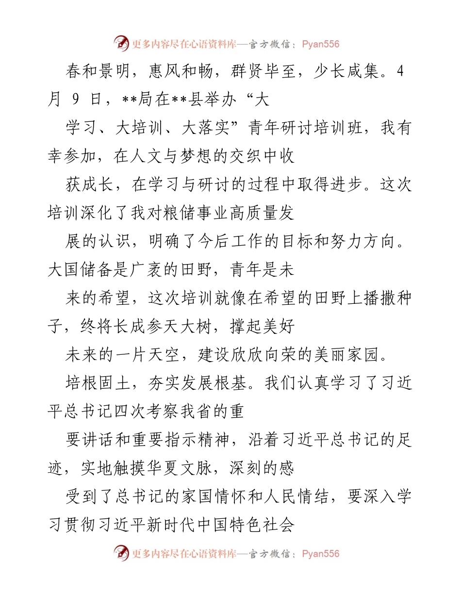 [培训总结] 青年研讨培训班 - 培养青年力量，筑牢粮储事业的未来.docx_第1页