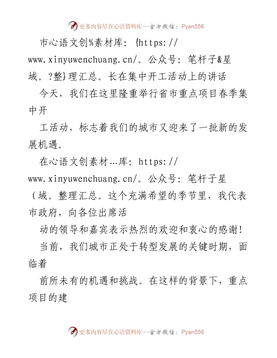 [发言] 集中开工活动 - 市长讲话：把握机遇，推动城市高质量发展.docx_第1页
