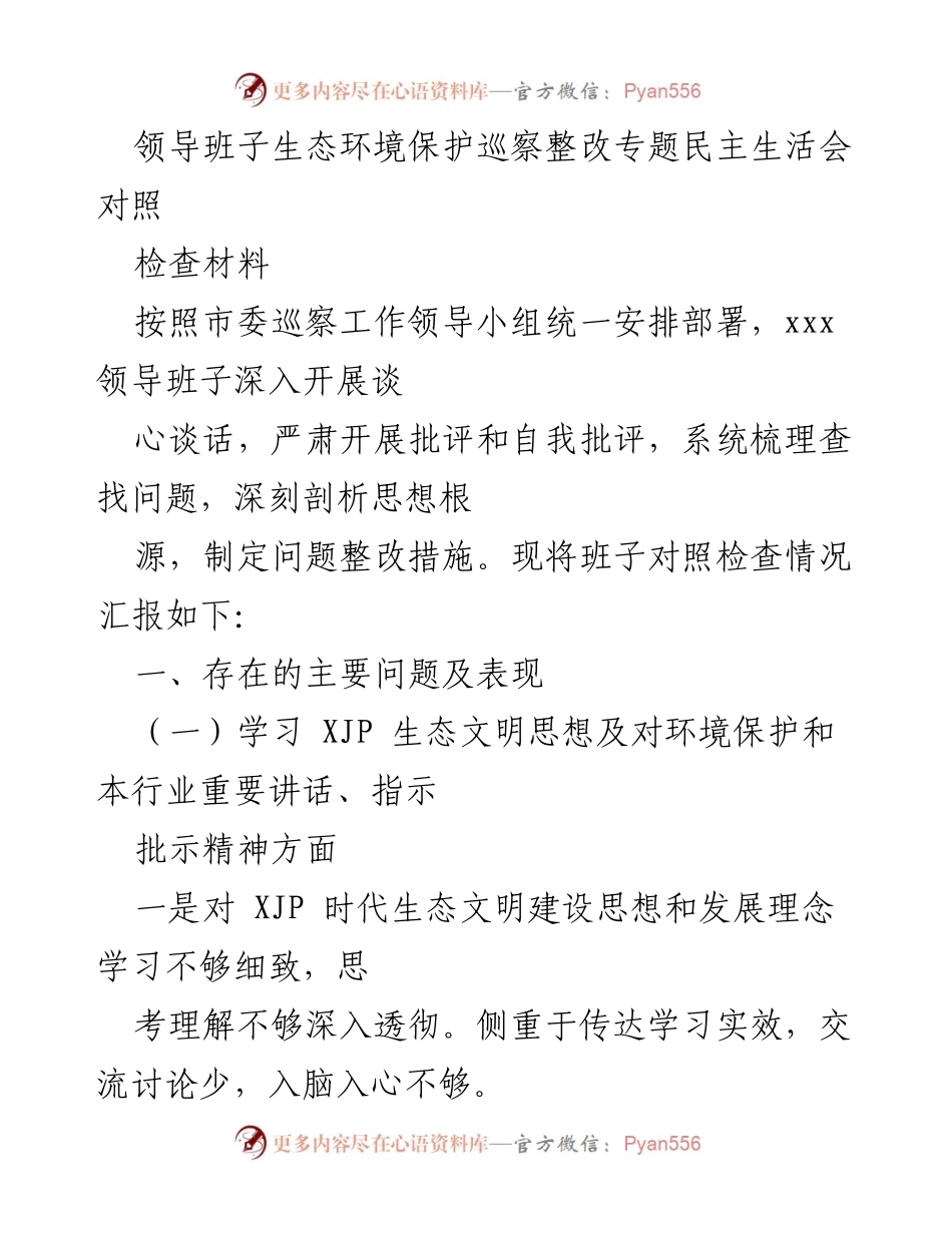 [发言] 领导班子民主生活会 - 生态环境保护巡察整改自查与反思.docx_第1页