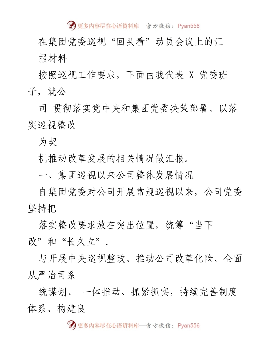 [发言] 集团党委巡视“回头看”动员会议 - 关于公司巡视整改及改革发展情况的汇报.docx_第1页