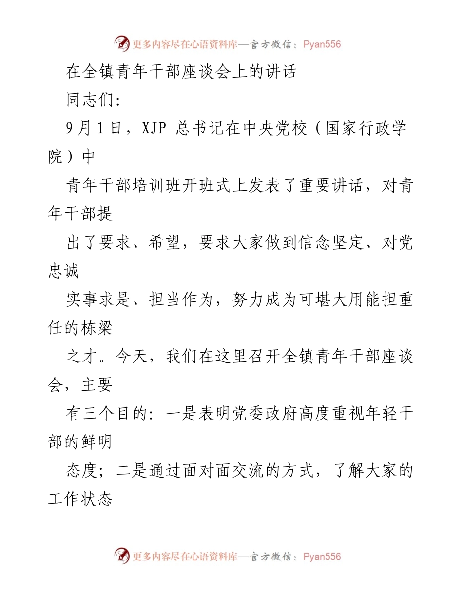 [发言] 青年干部座谈会 - 激励青年干部勇担重任，成就伟大事业.docx_第1页
