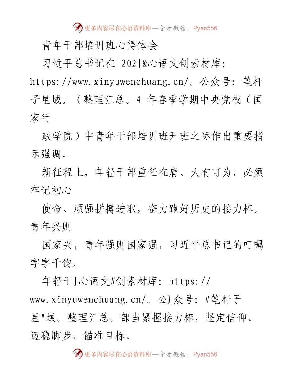 [发言] 青年干部培训班 - 坚定信仰、迈稳脚步：青年干部的使命与担当.docx_第1页