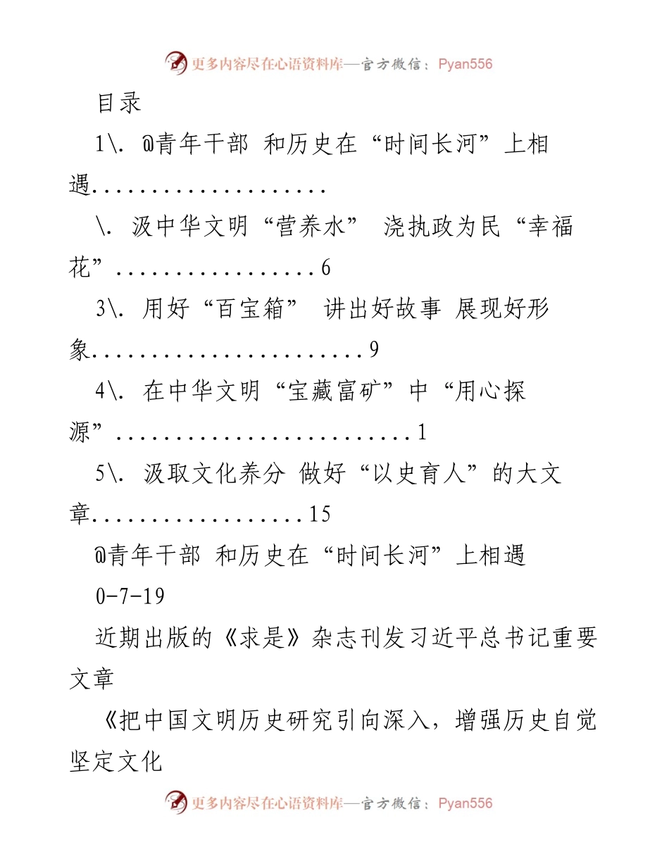 [发言] 青年干部：汲取历史智慧，担当中华文明接班人.docx_第1页