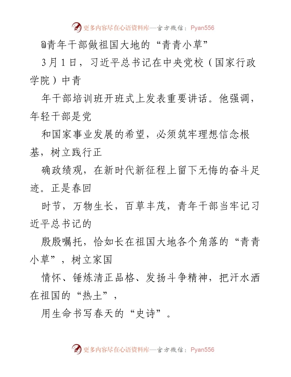 [发言] 青年干部培训班 - 青年干部的理想信念与家国情怀.docx_第1页