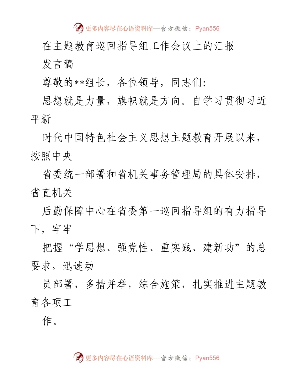 [发言稿] 主题教育巡回指导组工作会议 - 主题教育推进与落实汇报.docx_第1页