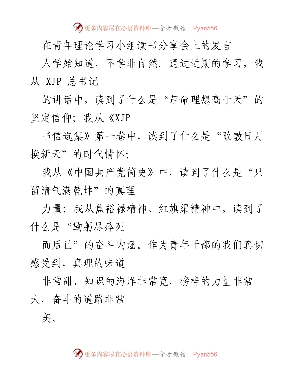[发言] 青年理论学习小组读书分享会 - 坚定信念、敢为人先、担当实干：青年干部的奋斗之路.docx_第1页