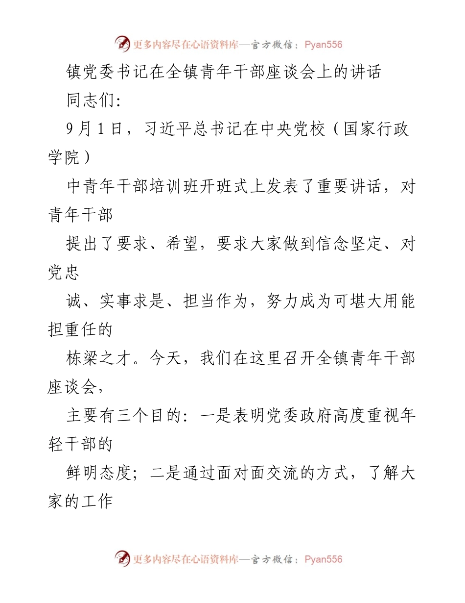 [发言] 青年干部座谈会 - 青年干部的使命与担当_1.docx_第1页
