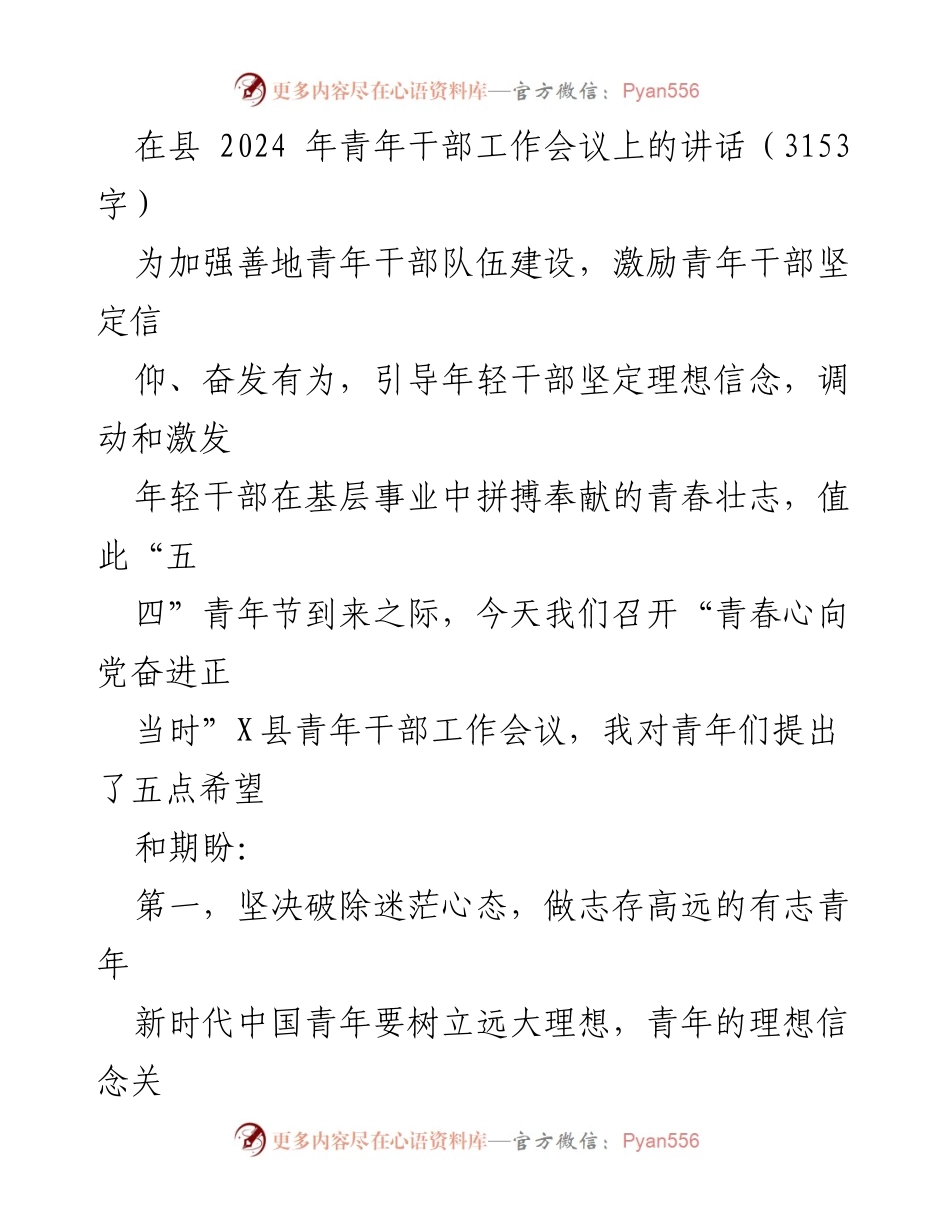 [发言] 青年干部工作会议 - 青春心向党，奋进正当时：对青年干部的五点希望.docx_第1页