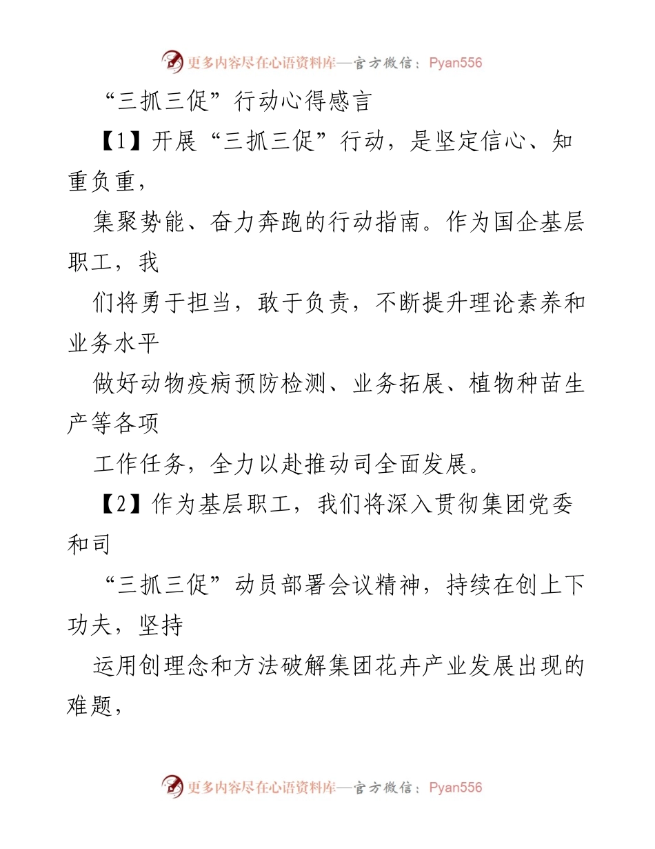 [发言] 集团“三抓三促”动员部署会议 - “三抓三促”行动心得体会与工作展望.docx_第1页
