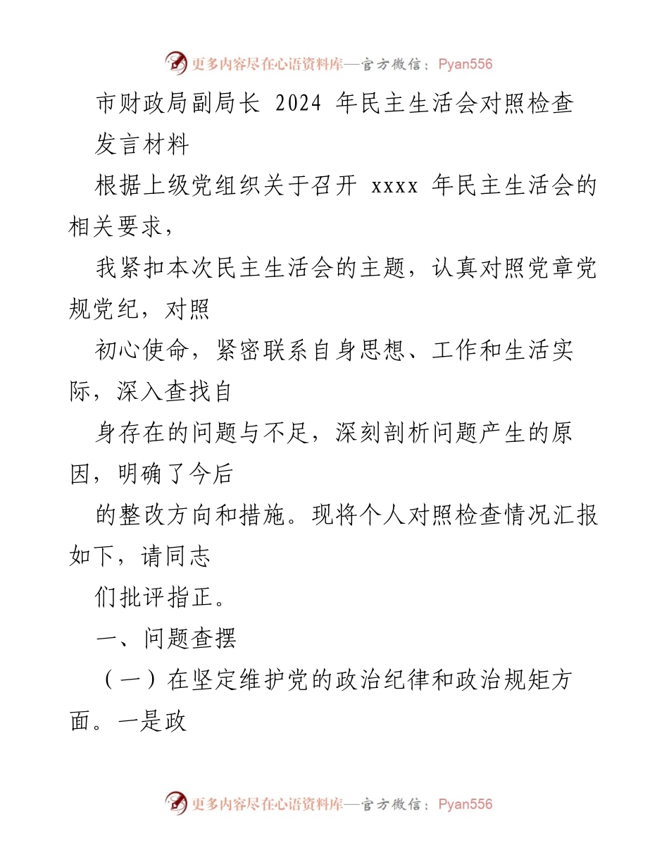 [发言材料] 民主生活会 - 市财政局副局长2024年对照检查发言.docx_第1页