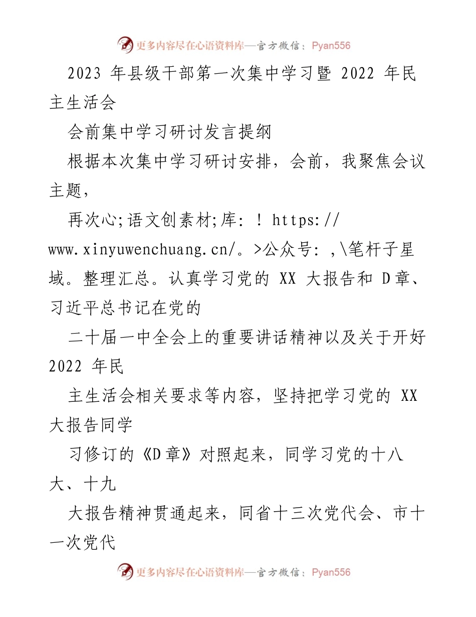[发言] 集中学习会议 - 2023年县级干部集中学习发言提纲.docx_第1页