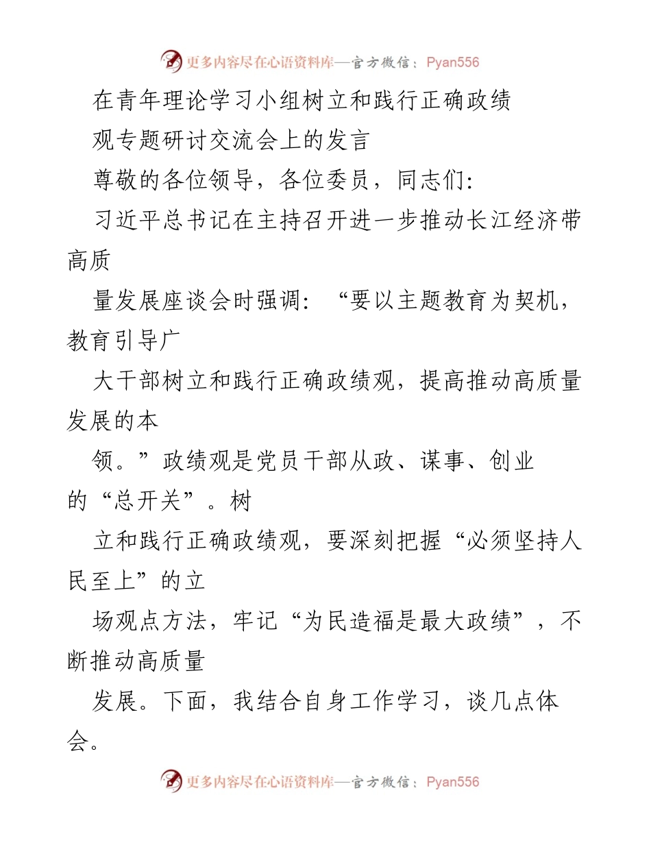 [发言] 青年理论学习小组专题研讨交流会 - 树立和践行正确政绩观的思考与体会.docx_第1页