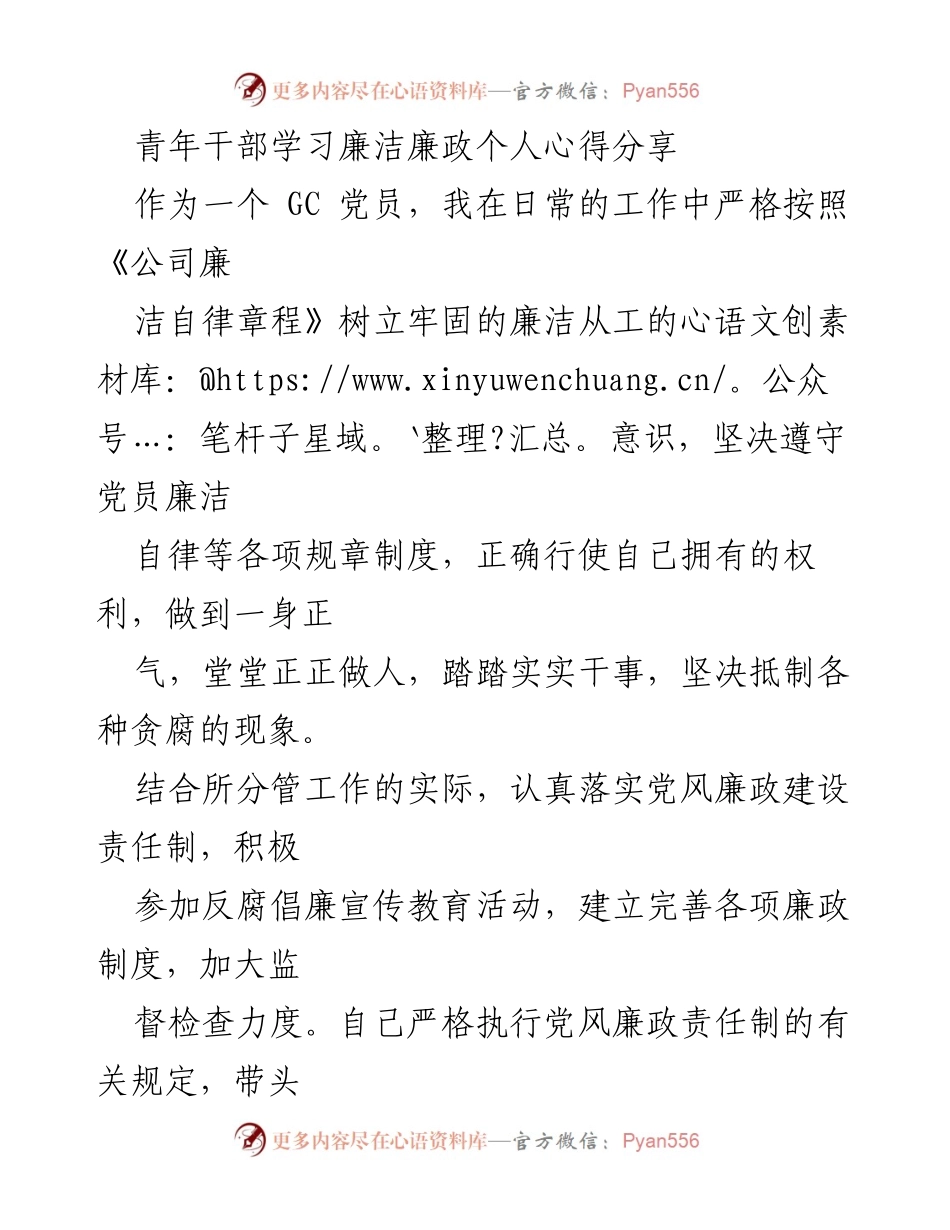 [发言] 青年干部廉洁自律学习会 - 青年干部廉洁自律心得分享.docx_第1页