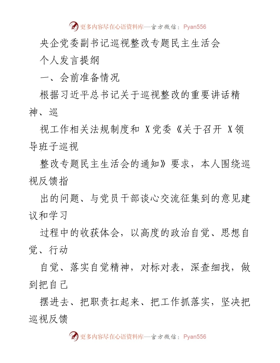 [发言提纲] 央企党委巡视整改专题民主生活会 - 深入查摆问题，落实巡视整改意见.docx_第1页