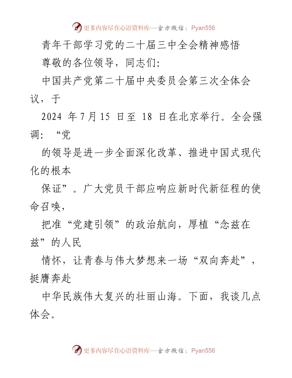 [发言] 青年干部学习会 - 青年干部对党的二十届三中全会精神的体会与展望.docx_第1页