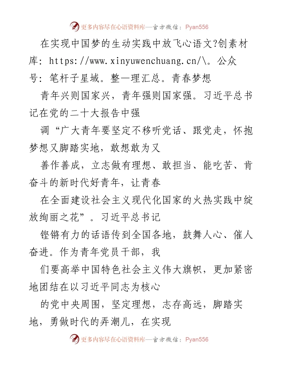 [发言] 青年干部培训 - 在实现中国梦的生动实践中放飞青春梦想.docx_第1页