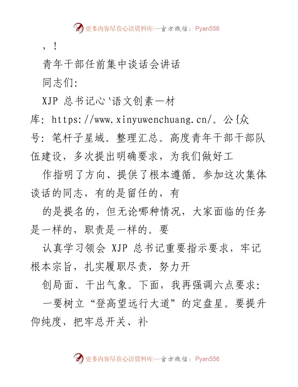 [发言] 青年干部任前集中谈话会讲话要点总结.docx_第1页