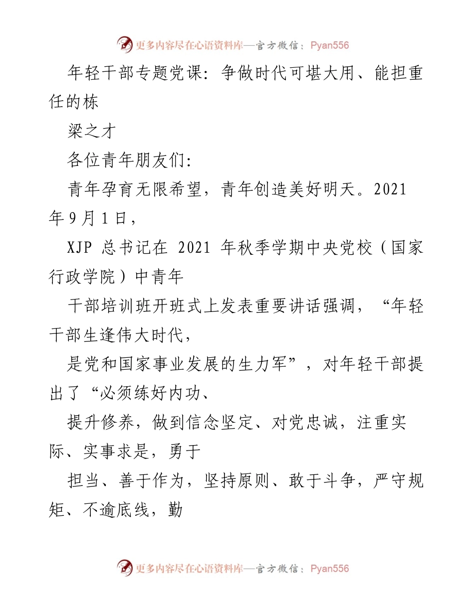 [发言] 青年干部专题党课 - 严守规矩，做时代栋梁：年轻干部的责任与担当.docx_第1页