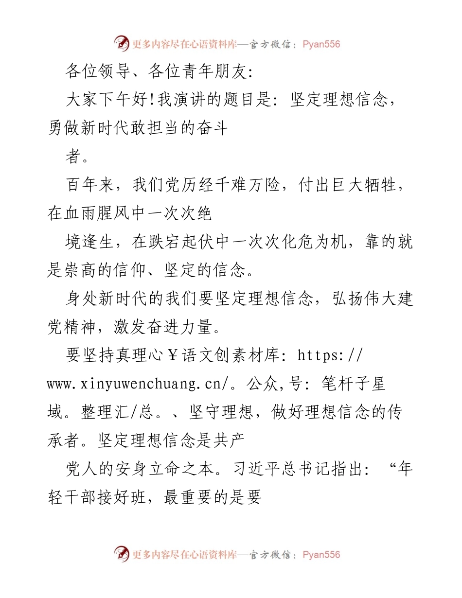 [发言] 青年干部大会 - 坚定理想信念，勇做新时代敢担当的奋斗者.docx_第1页