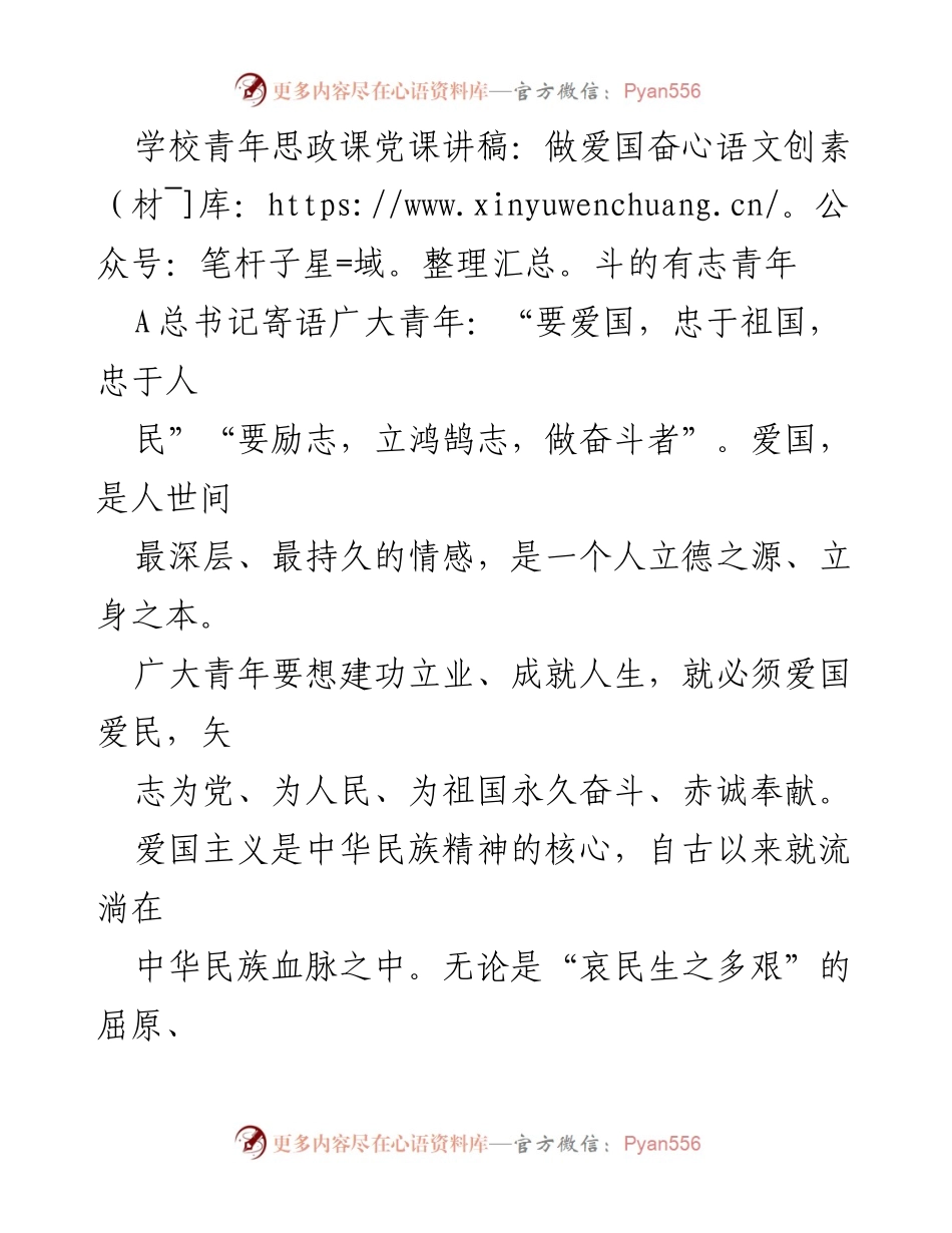 [发言] 青年思政课 - 做爱国奋斗的有志青年_2.docx_第1页