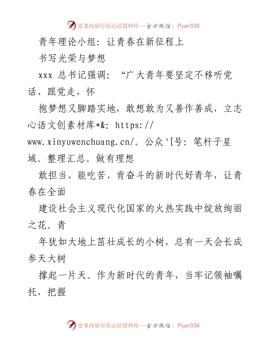 [发言] 青年理论小组活动 - 青年在新征程中的使命与担当.docx_第1页