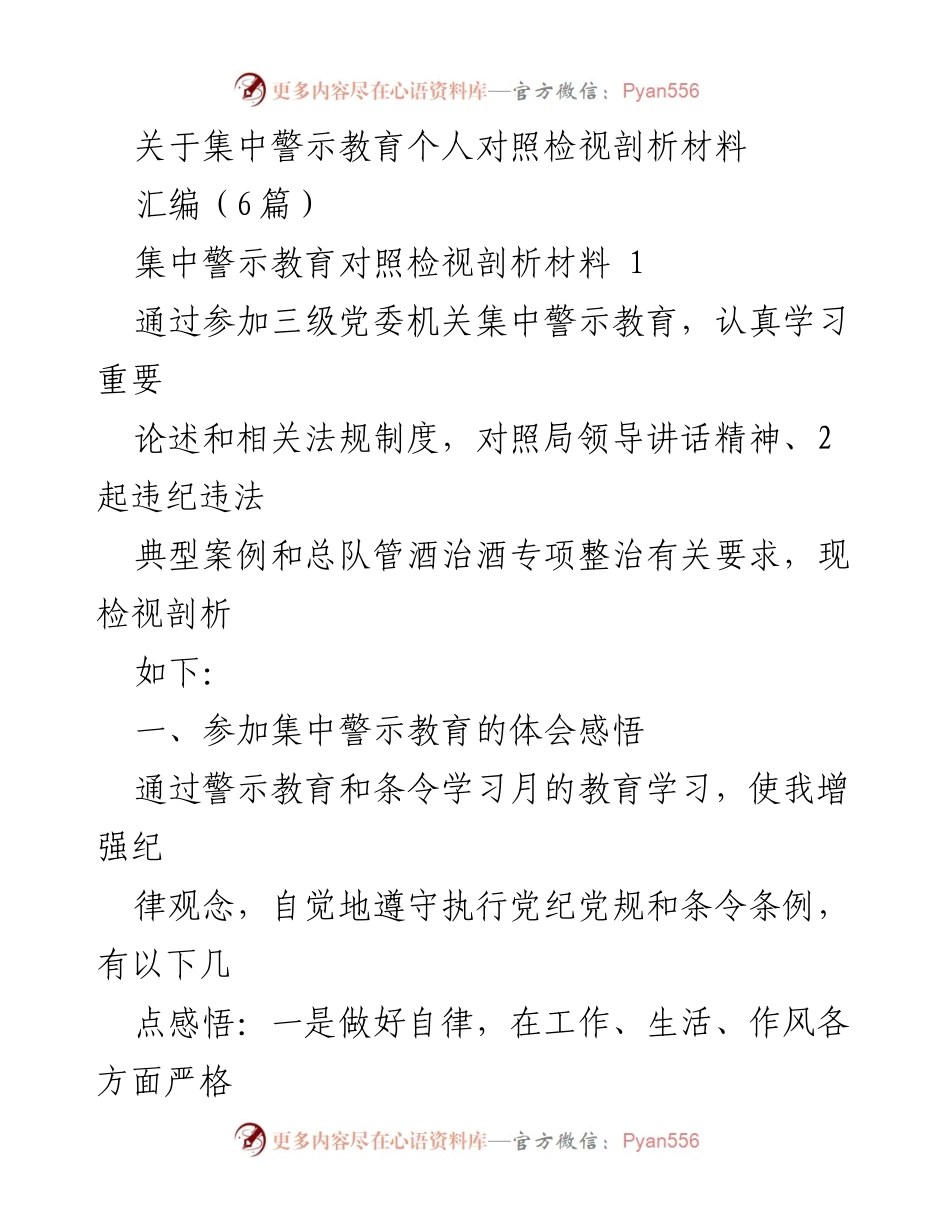 [发言] 集中警示教育 - 集中警示教育个人对照检视剖析材料总结.docx_第1页