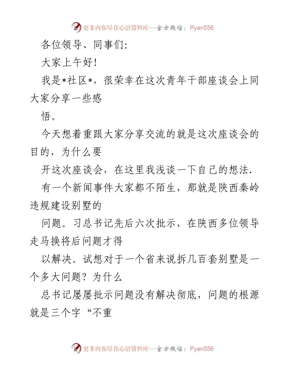[发言] 青年干部座谈会 - 强调“两个维护”与乡镇发展之道.docx_第1页