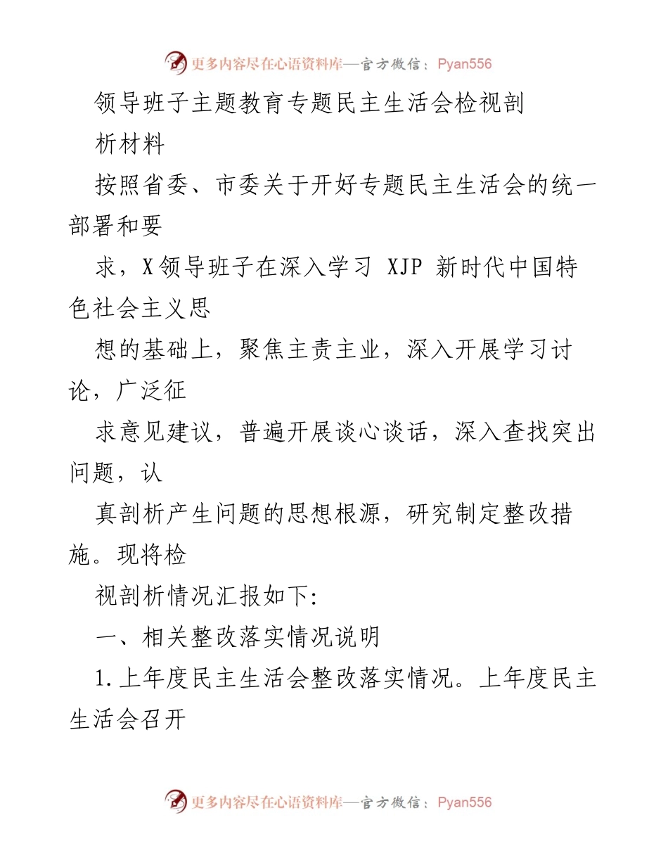 [发言] 领导班子民主生活会 - 主题教育民主生活会检视剖析报告.docx_第1页