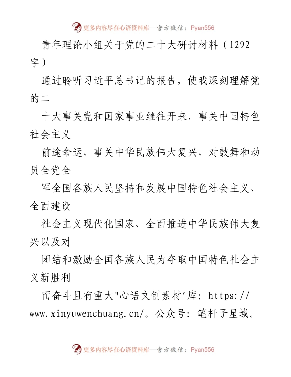 [发言] 青年理论小组研讨会 - 深刻理解党的二十大精神，锤炼青年干部的理想信念与实践能力.docx_第1页