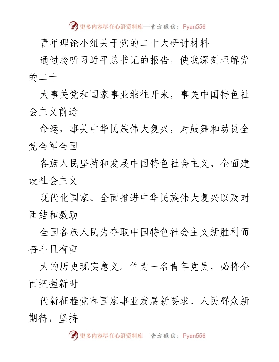 [发言] 青年理论小组研讨会 - 深入学习党的二十大精神，锤炼青年干部服务能力.docx_第1页
