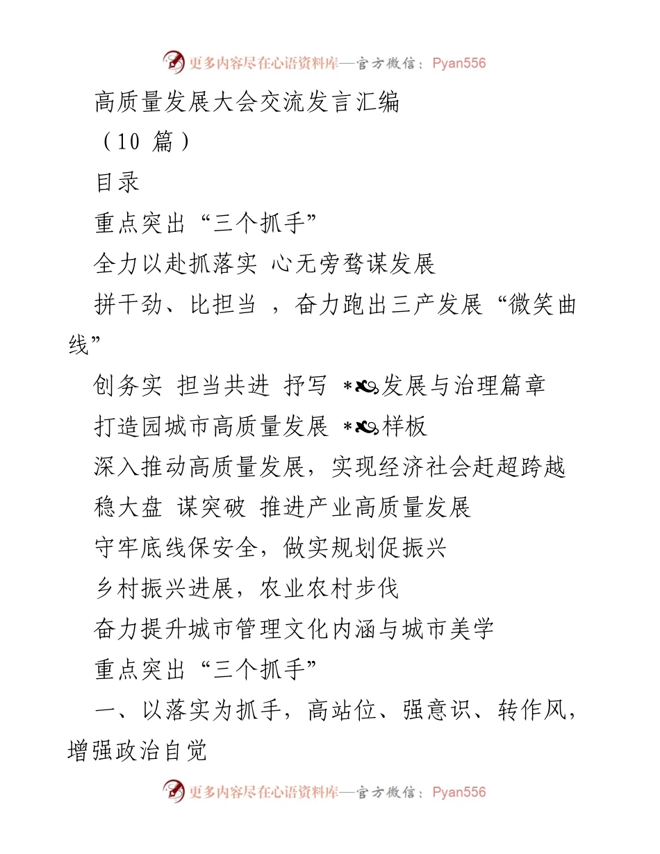 [发言] 高质量发展大会 - 高质量发展新局面：以落实、发展和治理为抓手.docx_第1页