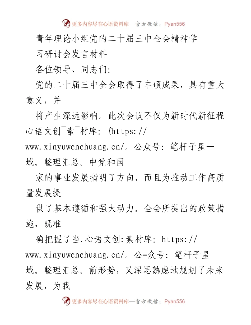[发言] 青年理论小组学习研讨会 - 深入学习党的二十届三中全会精神，青年干部的使命与担当.docx_第1页